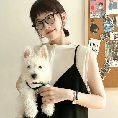 名媛双胞案海报