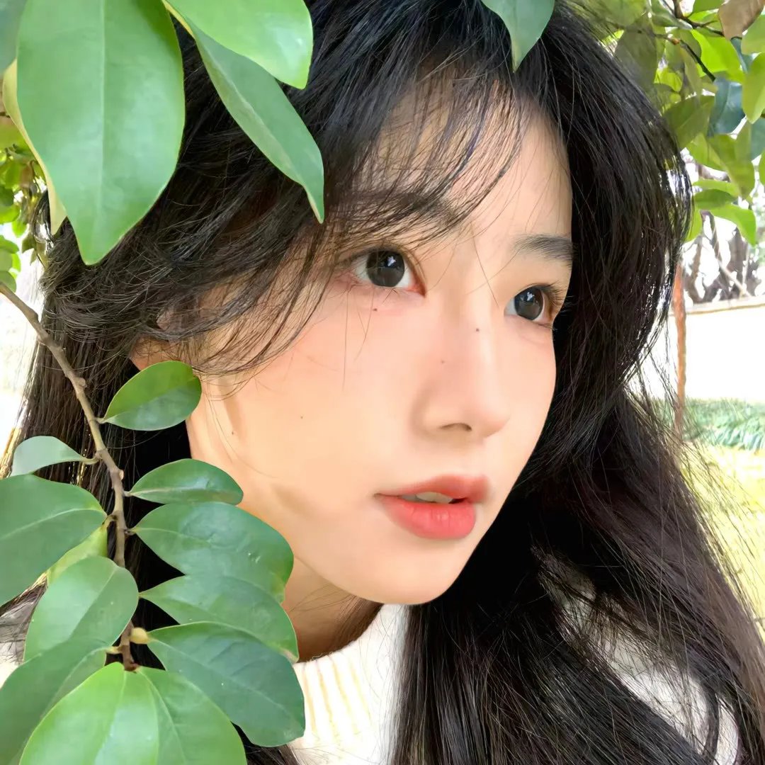 野小子之路海报
